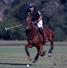 Argentina-Buenos Aires-Deluxe Buenos Aires Equestrian Escape